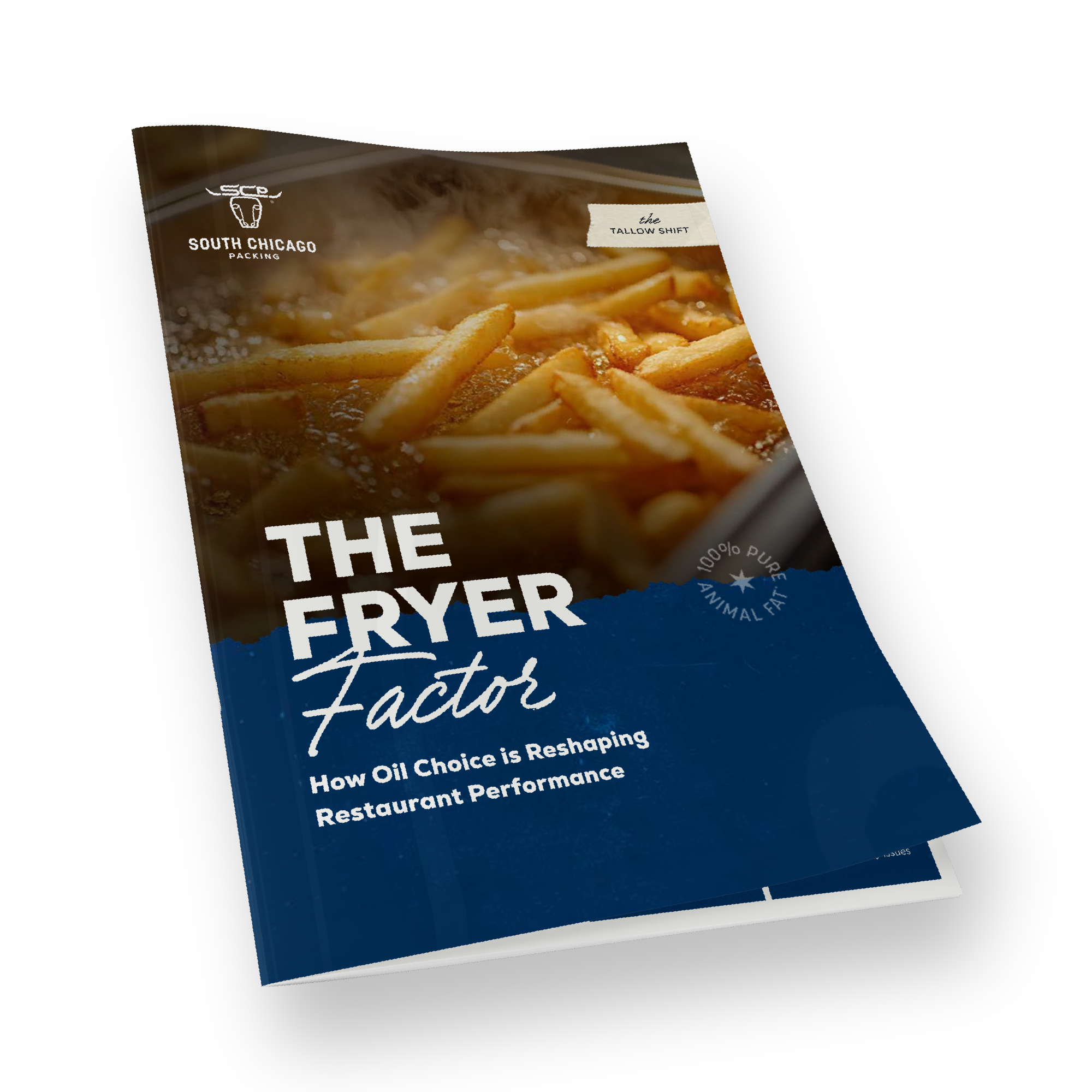 Scp educational hub the fryer factor thumbnail
